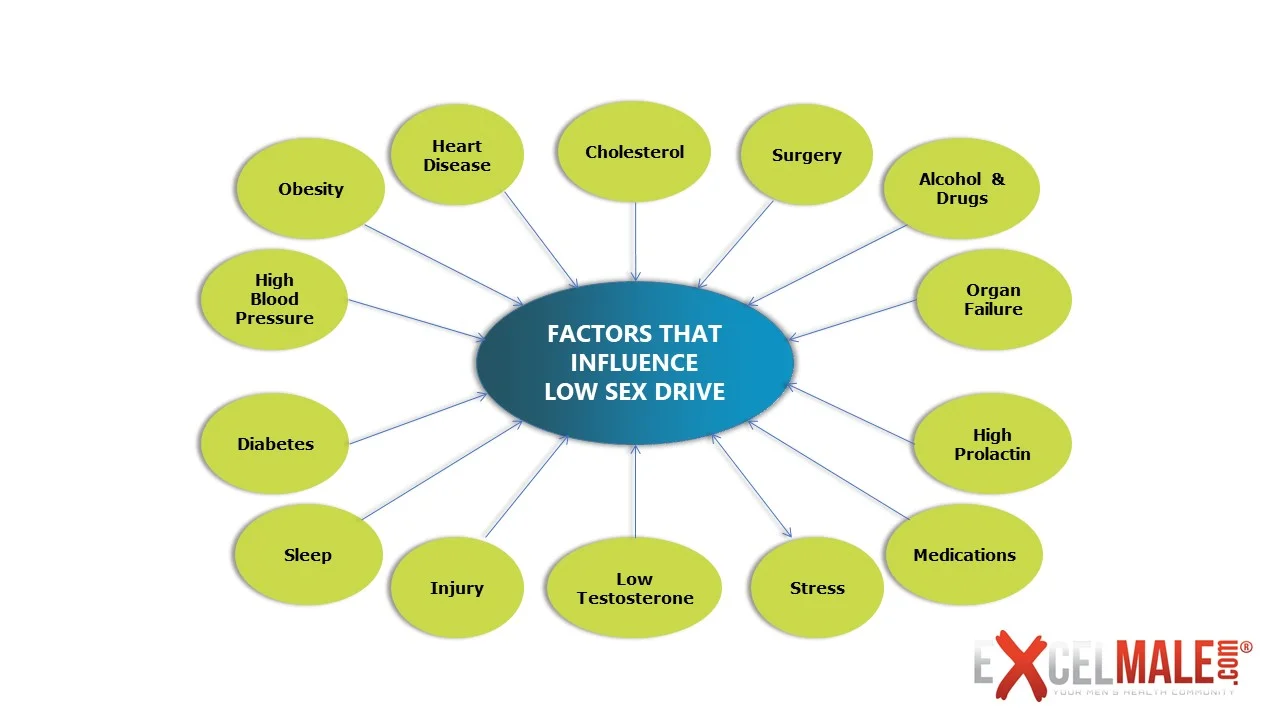 sex drive factors.webp