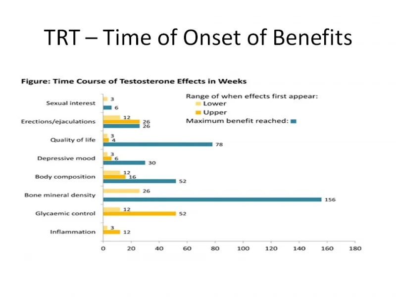 Slide14.webp