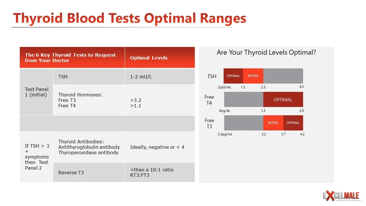 Slide44.JPG