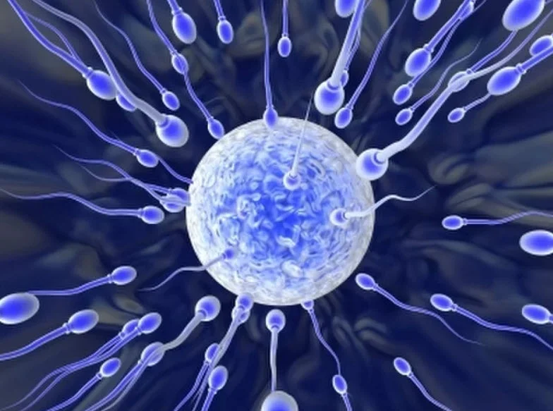 sperm semen analysis.webp