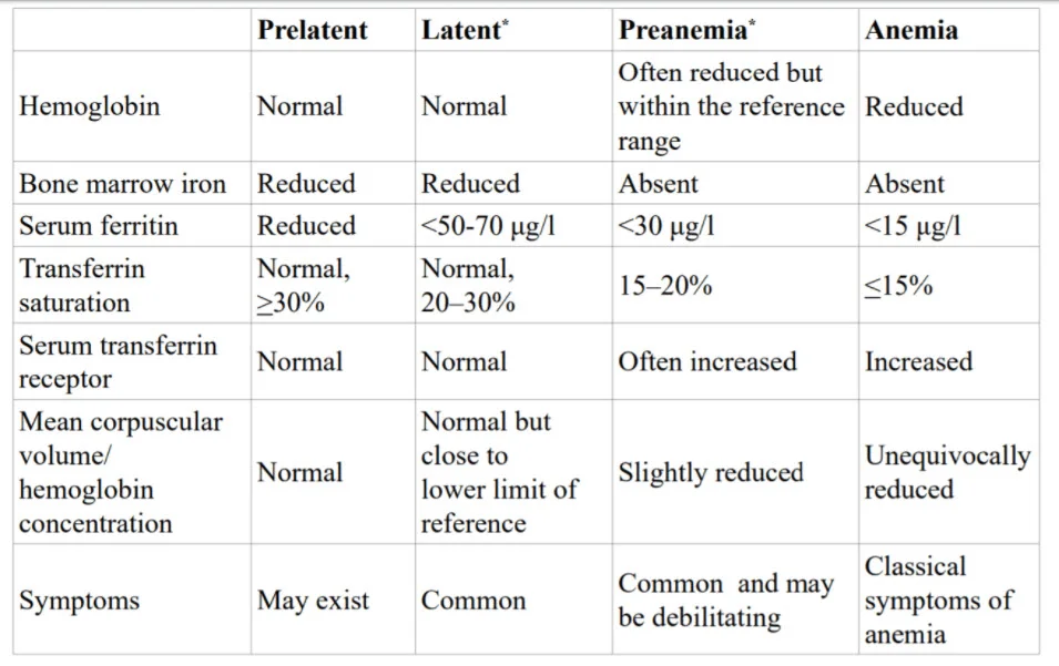 stages of anemia.webp