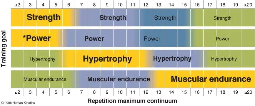 strength-endurance continuum.webp