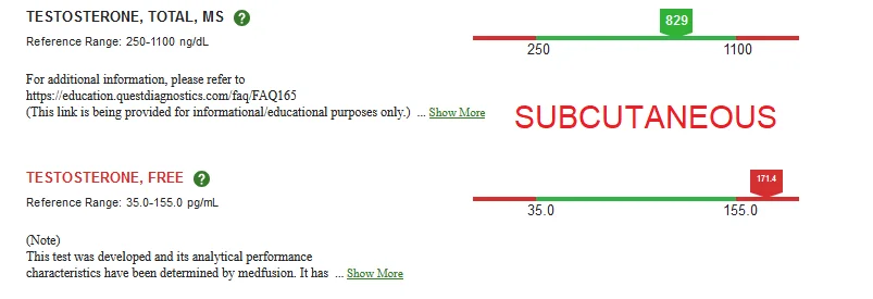 subq.webp