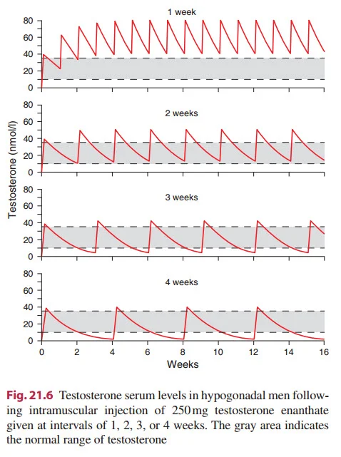 testosterone enanthate pk injection frequency.webp