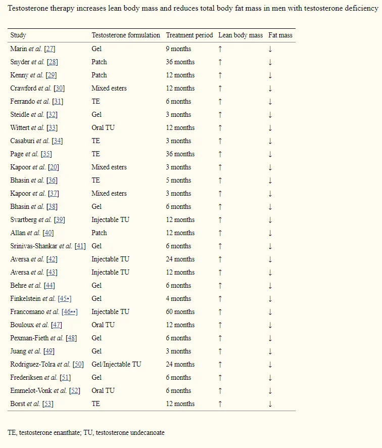 testosterone lean mass fat mass.webp