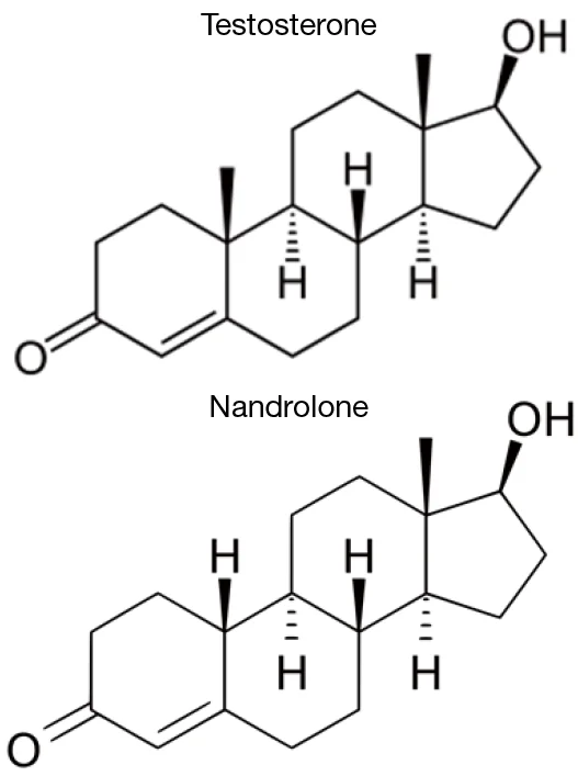 testosterone versus nandrolone molecule.webp