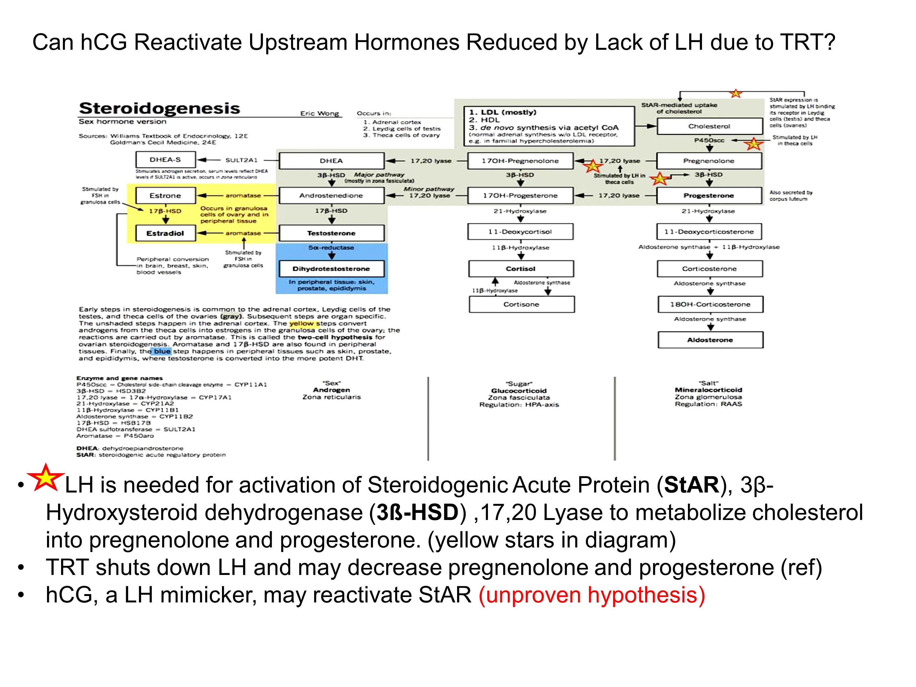 upstream hormones.webp