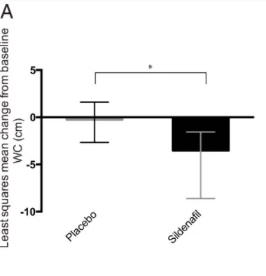 viagra fat loss.webp