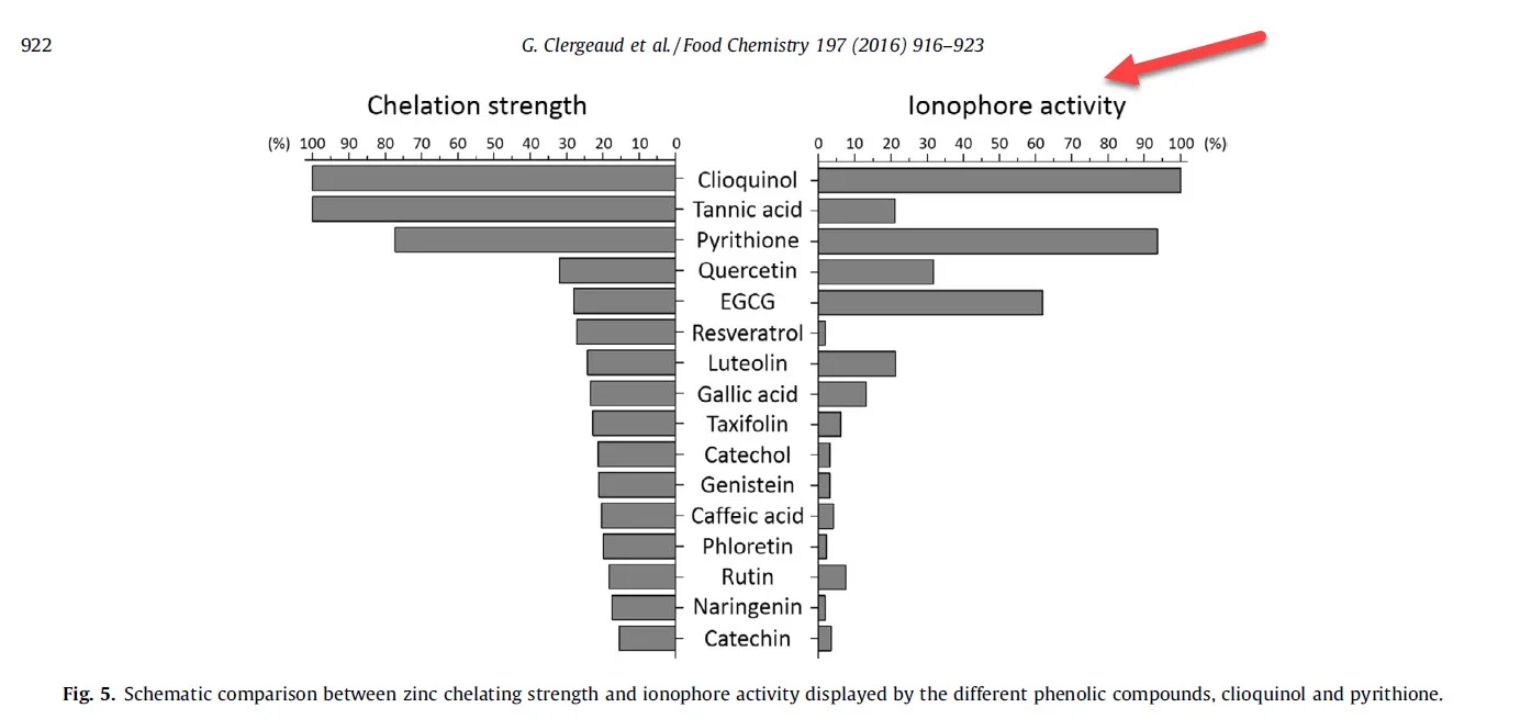 ZINC IONOPHORE ACTIVITY.jpg