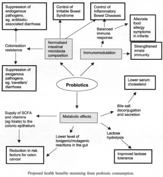 probioticsbenefits.webp