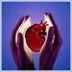 heart3.webp