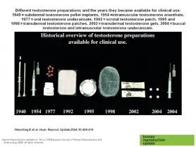 Historyoftestosteroneproducts.webp