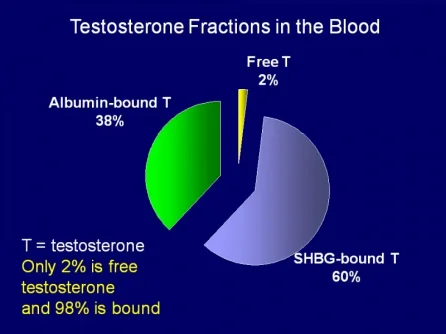 Slide20.webp