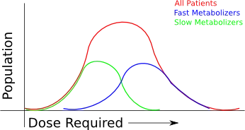 efficacy_graph1.webp