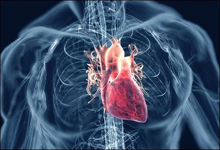 heart-disease.webp