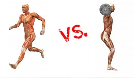 cardio-vs-weight-training-1.webp