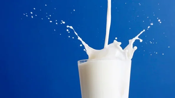 milk.webp