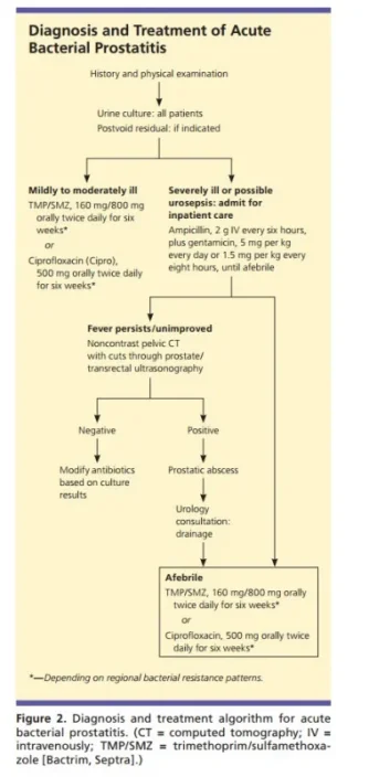 prostatitis treatment.webp