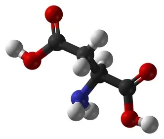 L-aspartic-acid-3D-balls.webp