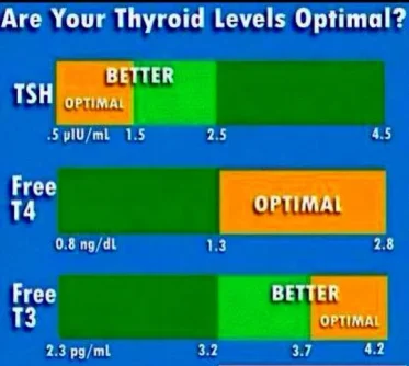 thyroid values.webp