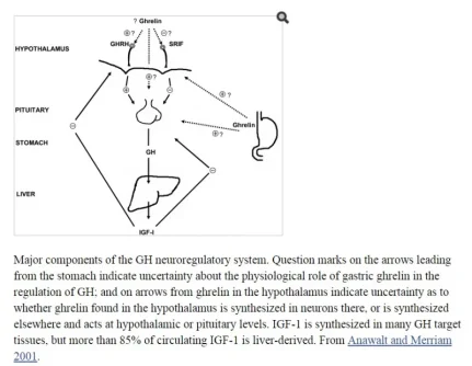 peptides.webp