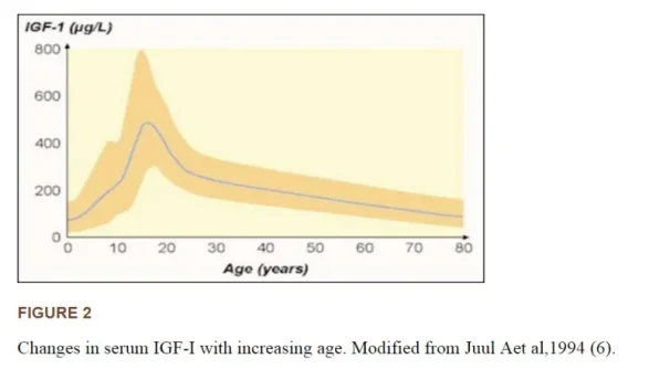 igf1 age.webp