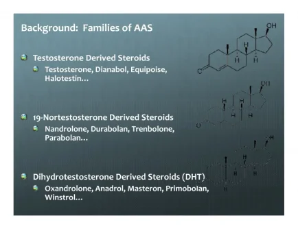 anabolic steroid slides_Page_08.webp