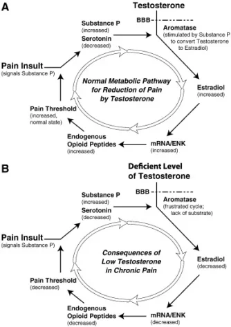 estradiol pain.webp