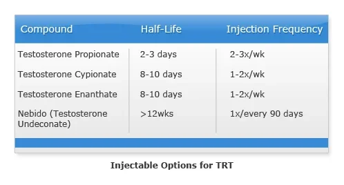 testosterone options half lives.webp