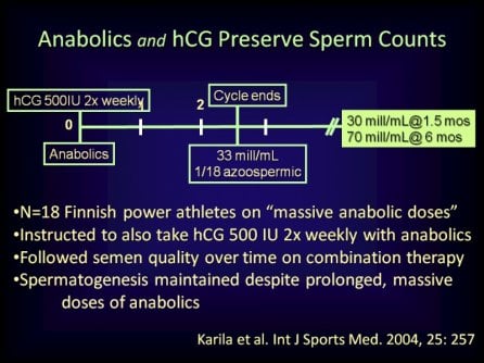 anabolics and hcg.jpg