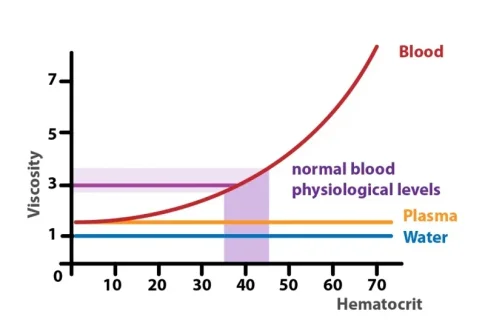 hematocrit viscosity.webp