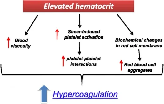 hematocrit hypecoagulation.webp