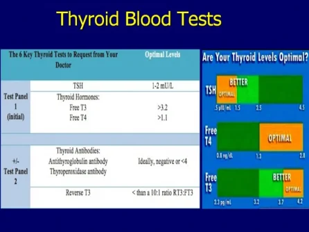 optimum thyroid hormone levels.webp