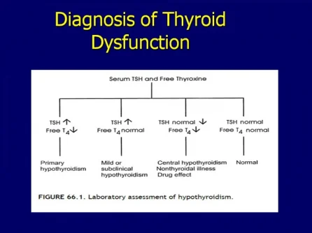 thyroid diagnosis algorythm.webp