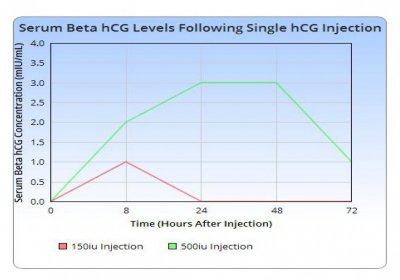 hcg after injection of two doses.jpg