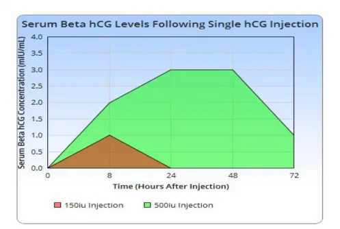 serum beta hcg.webp