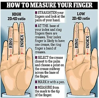 finger ratio.webp