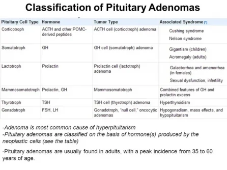 pituitary tumors 2.webp