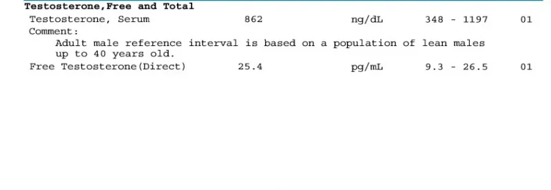 testosterone.webp