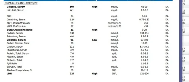 lab1.webp