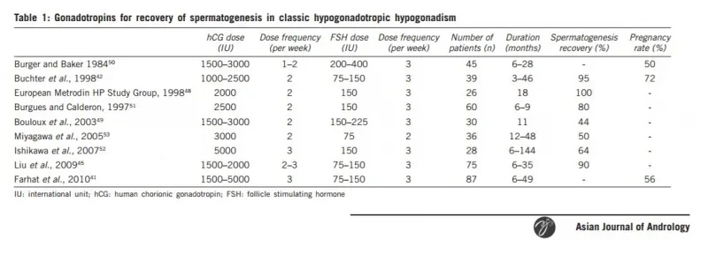 hcg fsh sperm studies.webp