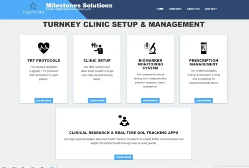 Milestones Solutions Homepage Feb 2017.webp