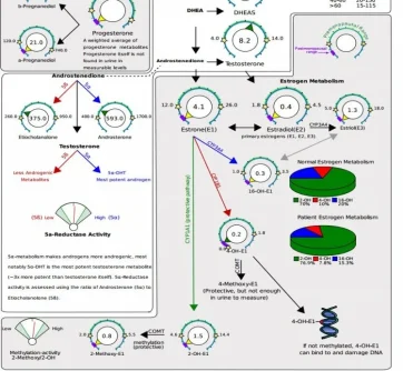 Dutch Ex After Treatment.webp