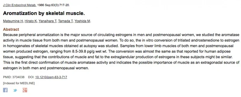 aromatase muscle fat.webp