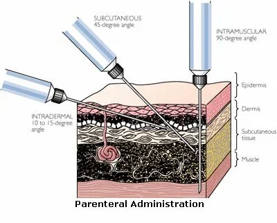 2d49007c066f3c020b1d781b729b6fbd--nursing-notes-nursing-tips.webp