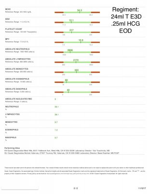 10:06:17 Blood work 2:2.jpg