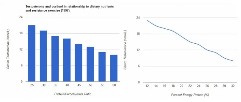 protein-intake-and-total-testosterone-levels.webp