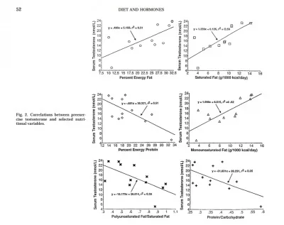 dietary ratios for test optimization.webp