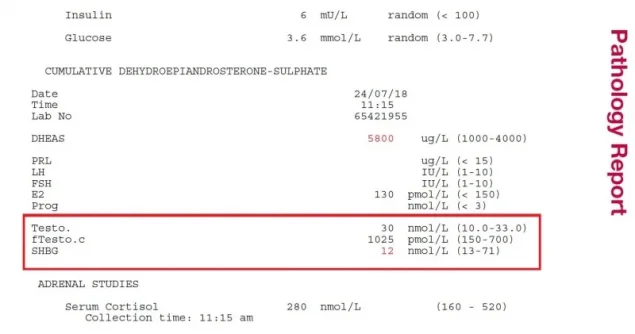 Labs.webp