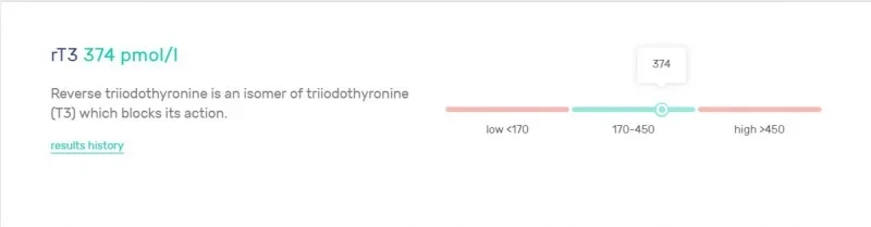 Labs4.webp